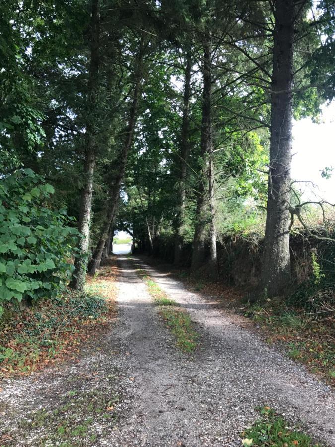 Manoir De Parc Ar Brun Villa Tréguier Esterno foto