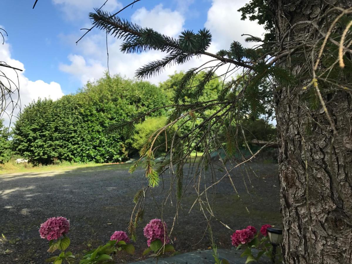 Manoir De Parc Ar Brun Villa Tréguier Esterno foto
